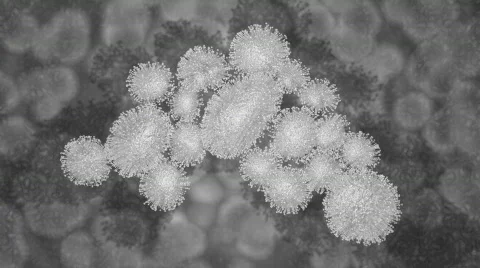 Swine Flu Virus two XCU zoom  Stock Footage 375105