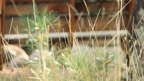 Swing 2 Stockbeeldmateriaal 162055088