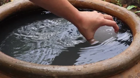 Swing alum to the water. Stock Footage 306990260