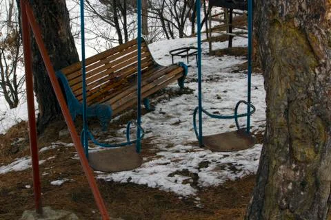 Swing and bench in the forest Fotos Stock