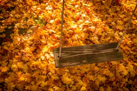 Swing and leaves Stock Photos