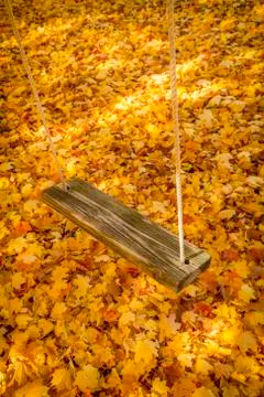 Swing and leaves Stock Photos