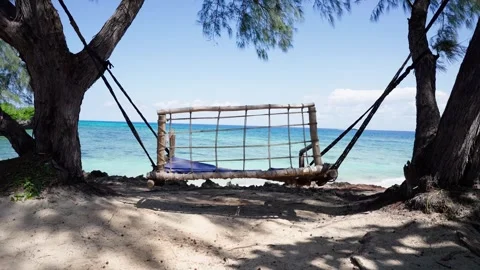 Swing and Tropical Ocean Stock Footage 323950088