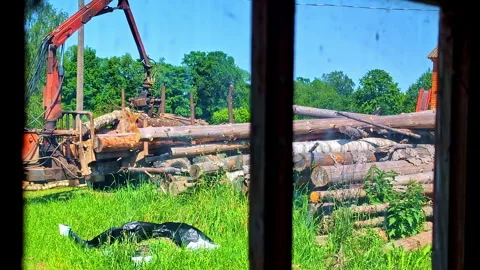 Swing arm forestry logging crane stacking cut trees onto the back of loader Stock Footage 314635966