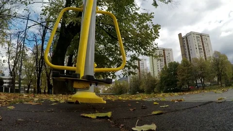 Swing on autumn 库存影片 81638487