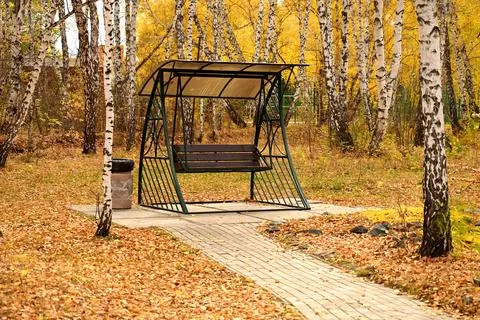 Swing in the autumn forest Stock Photos
