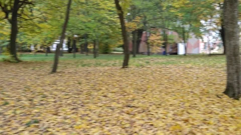 The swing in the autumn park spins in a circle quickly Stock Footage 319039692