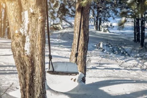Swing between the trees in the winter forest under the snow in the rays Stock Photos