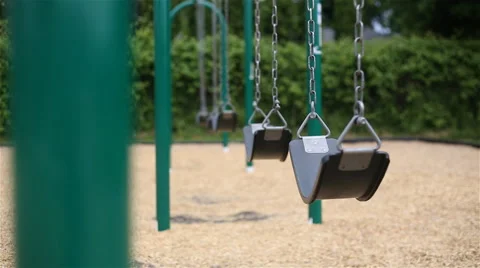 Swing Bushes Background Selective Focus Stock Footage 57732884