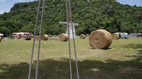 Swing chair Stock Footage 11831889