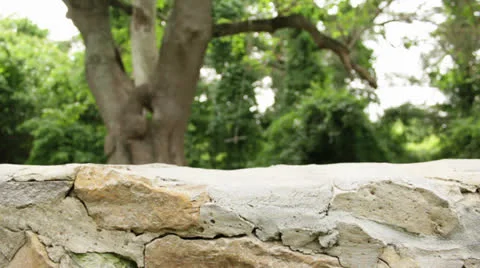 Swing Clip Soft Focus 스톡 동영상 24113486