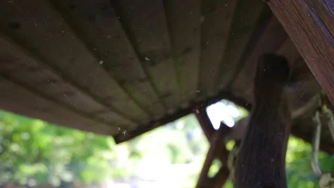 Swing with a cobweb in the evening light. Ancient wooden swing. Stock Footage 147106512