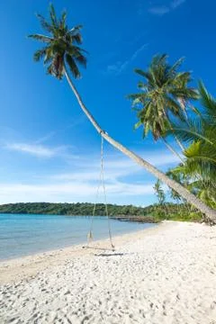 Swing on the cocomu tree at beach Stock Photos