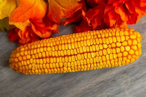 A swing of corn on the table food natural Stock Photos