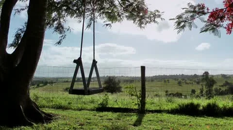 Swing in country side Stock Footage 10574908