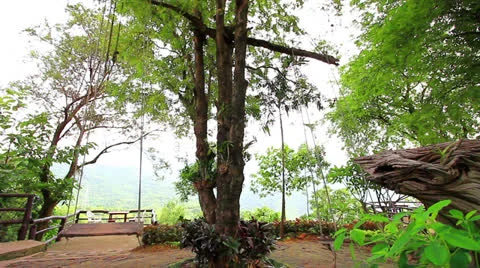 Swing Video stock 22900248