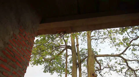 Swing Video stock 33664885