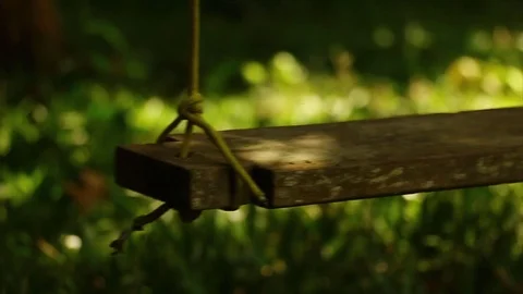 The swing Stock Footage 108144000
