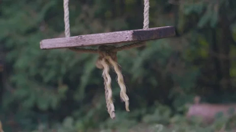 SWING 库存影片 114297013