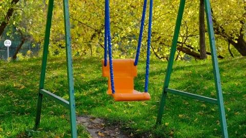 Swing Stock Footage 118363909