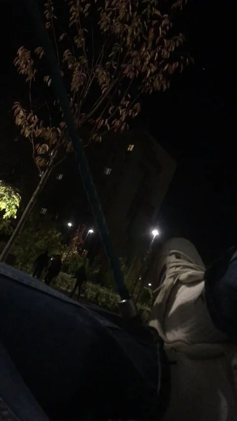 Swing Stock Footage 233266683