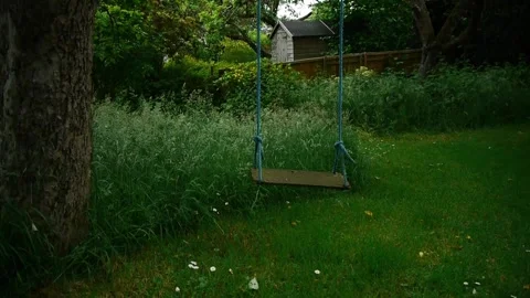 Swing Stock Footage 313528319