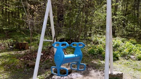 Swing in the forest Stock Footage 159398152