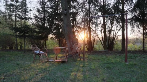 Swing in the garden Stock Footage 148236786