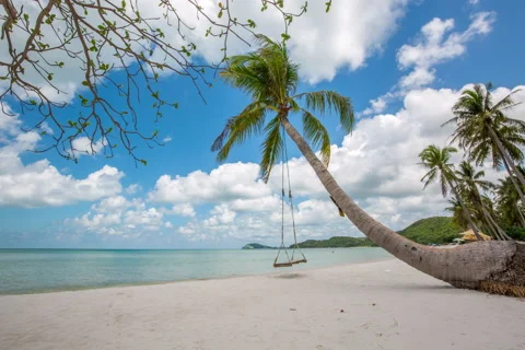 Swing hang on coconut tree by the beach Stock Footage 51028442