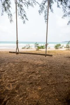 Swing hang from tree over beach Stock Photos