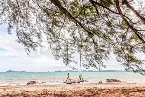 Swing hang under the tree on the beach. Stock Photos