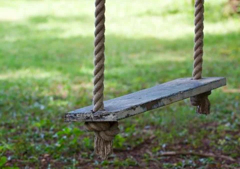 Swing hanging in garden Stock Photos
