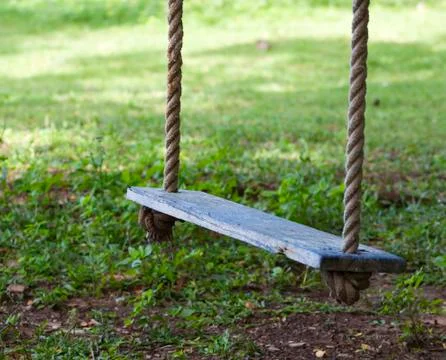 Swing hanging in garden Stock Photos