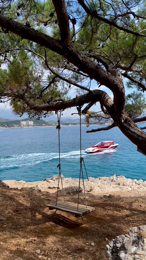 A swing is hanging on a tree against the background of the sea. Video stock 342125052