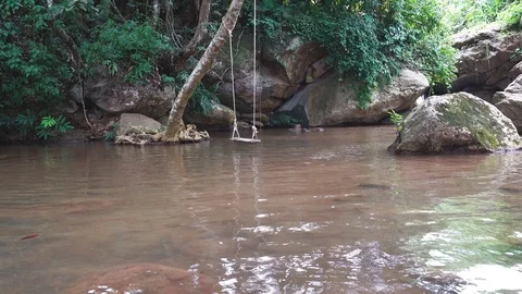 Swing hanging from tree over the water. 库存影片 112365173