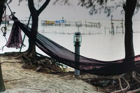 A swing that is installed between trees on the beach Foto stock