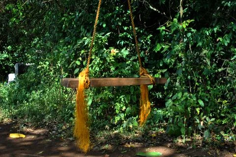 Swing in jungle Stock Photos