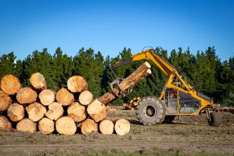 A swing loader stacking logs for log truck transporters Stock Photos