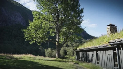 A swing on the old tall tree. A sod-roof house to the right. Slow-motion, Video stock 201668948