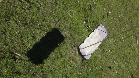 Swing over the grass Stock Footage 118194581