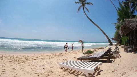 Swing on palm tree at the beach in Sri Lanka Stock Footage 175861663