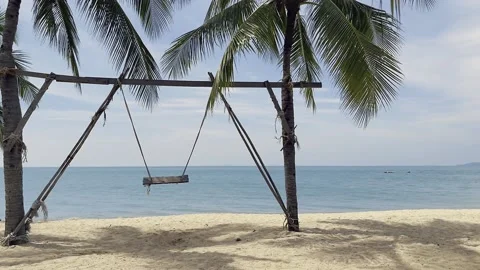 Swing by palm trees on the sea/Качеля у пальм на море Stock Footage 219251373
