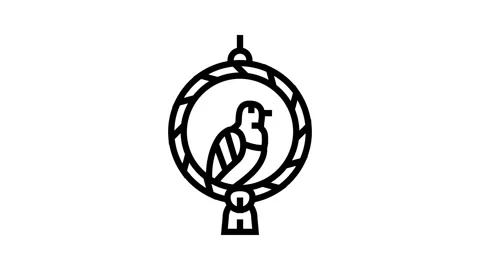 Swing parrot bird line icon animation Stock Footage 326132994