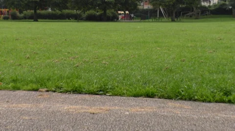 Swing POV action loop Видео 66797582