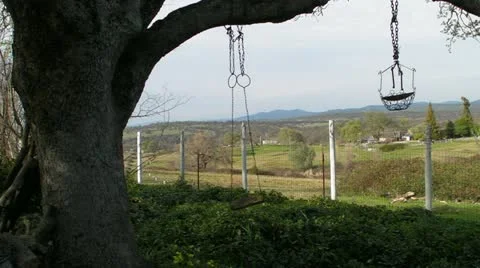 A Swing Quietly Hangs from an Oak Tree Stock Footage 10836837