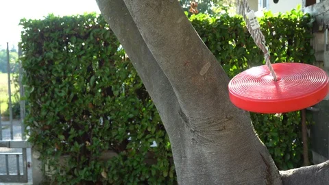 Swing in round shape red colored blowing in wind as the sun sets Stock Footage 94928573