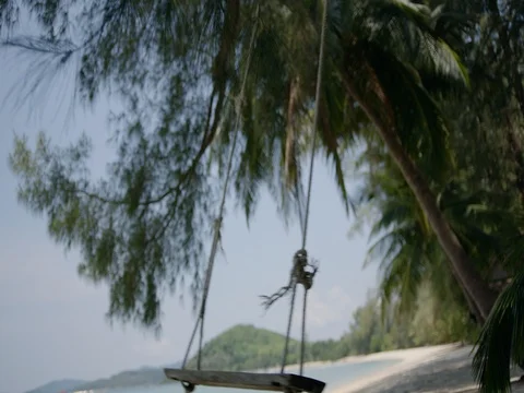 Swing by the sea Stock Footage 81106403