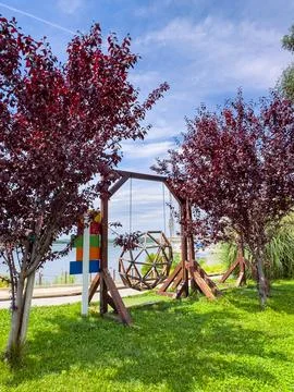 Swing set stands under trees beside a waterfront on a sunny day with clouds.. Stock Photos