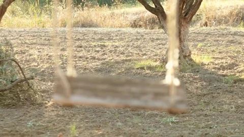 Swing at sunset in autumn Stock Footage 81348331