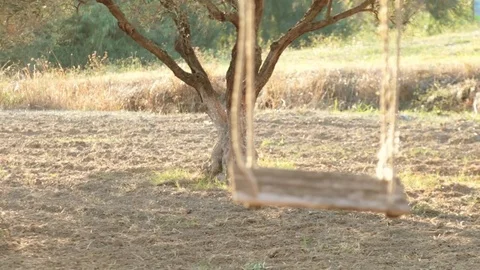 Swing at sunset in autumn Stock Footage 81348357